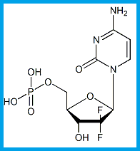 GEMCITABINE MONOPHOSPHATE